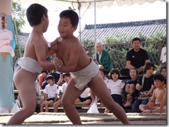 sumou006