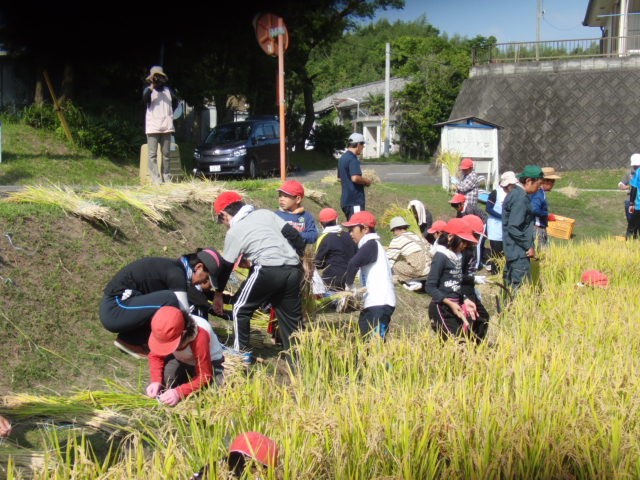 芝生でJC公園パンチラ盗撮エロ画像 dersteira.at